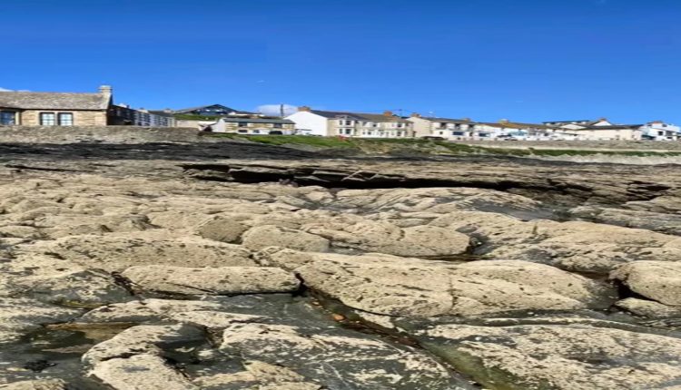 Desafio visual formações rochosas irregulares em uma praia costeira com casas ao fundo e um cachorro camuflado entre as pedras.