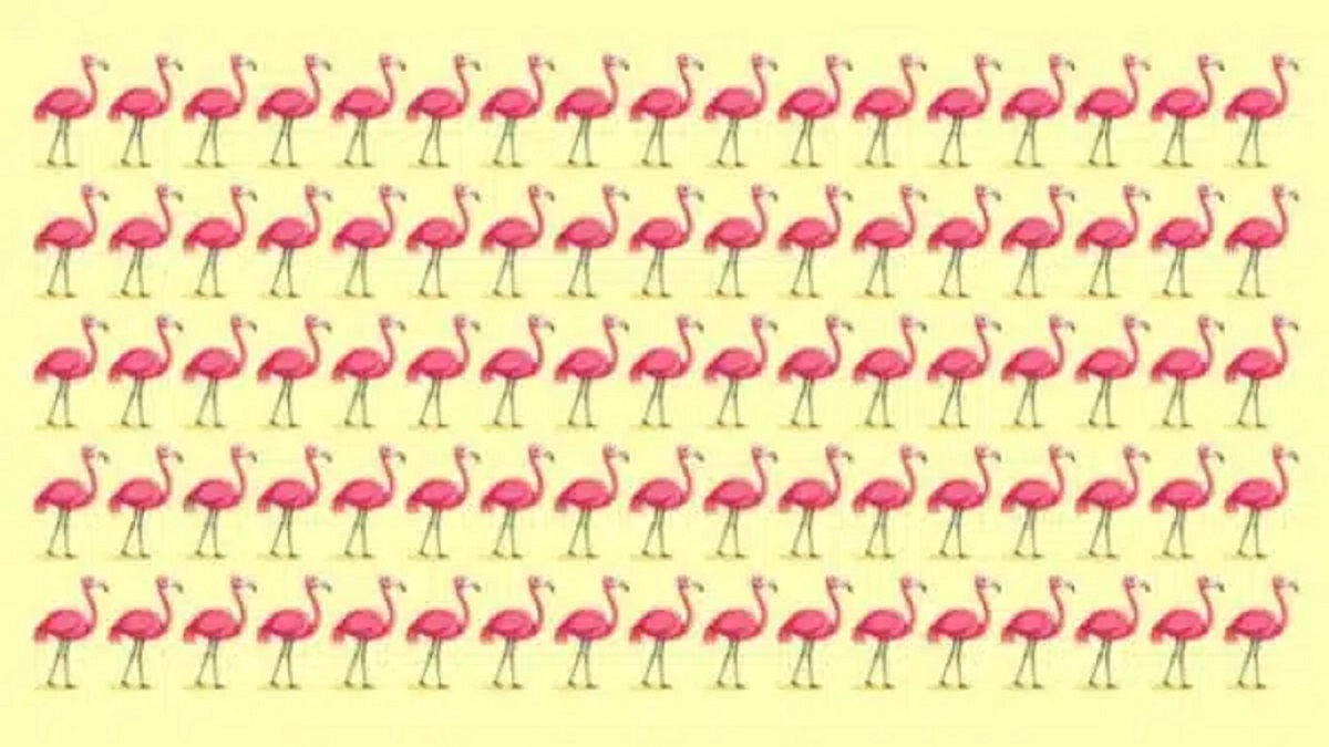 Imagem com diversos flamingos idênticos em tom rosa, dispostos em grade sobre fundo amarelo suave.