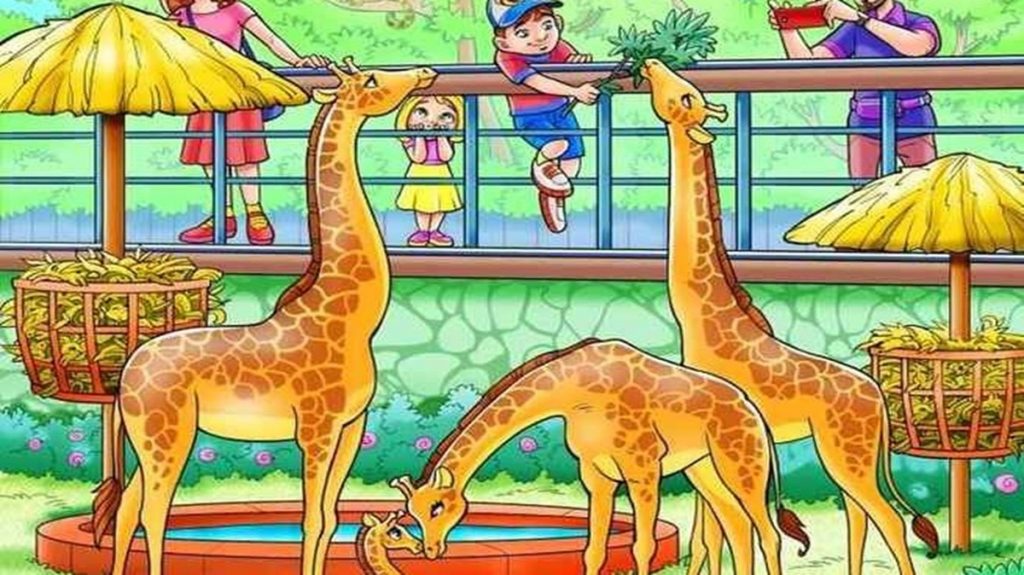 Desafio visual com girafas em zoológico interagindo com visitantes, onde um macaco se escondeu.