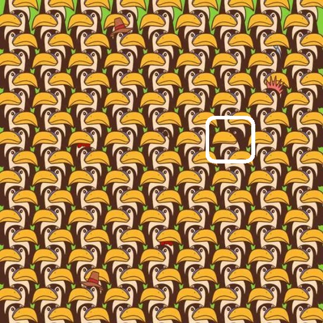 Solução do desafio visual com vários tucanos organizados lado a lado, com um pinguim disfarçado entre eles.
