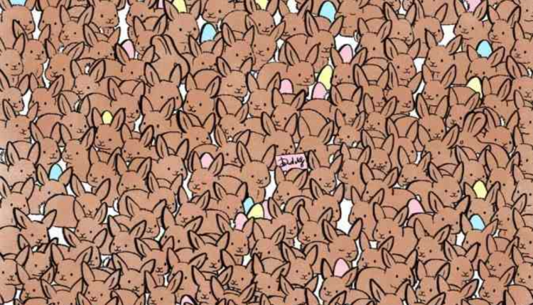Desafio visual - Encontre os 3 coelhos na imagem. Fonte: Jagran Josh.