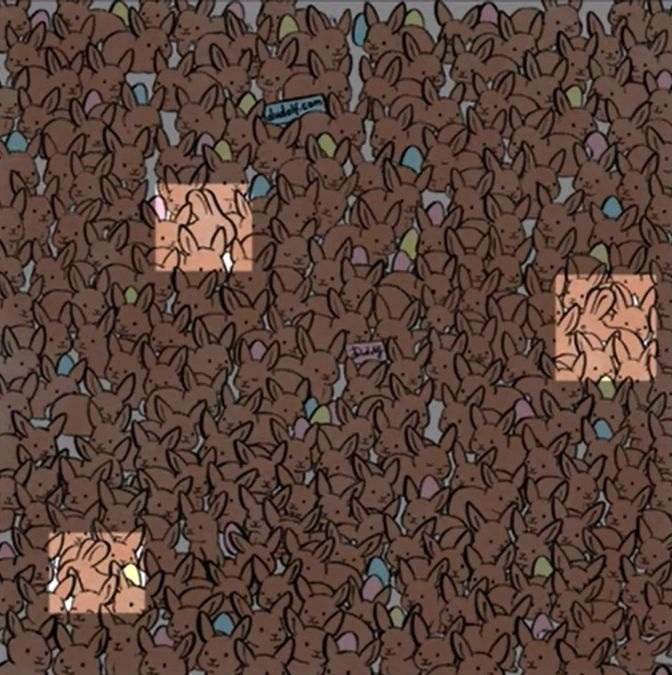 Resposta do desafio visual - Veja onde estão os 3 coelhos. Fonte: Jagran Josh. 