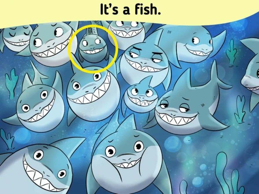 Resposta do desafio visual - Veja onde está o peixe entre os tubarões. Fonte: Jagran Josh.