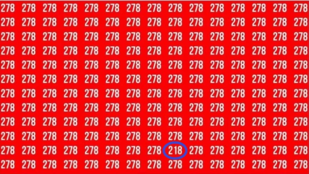 Solução do desafio visual com diversos números 278 em fundo vermelho, escondendo o número 218