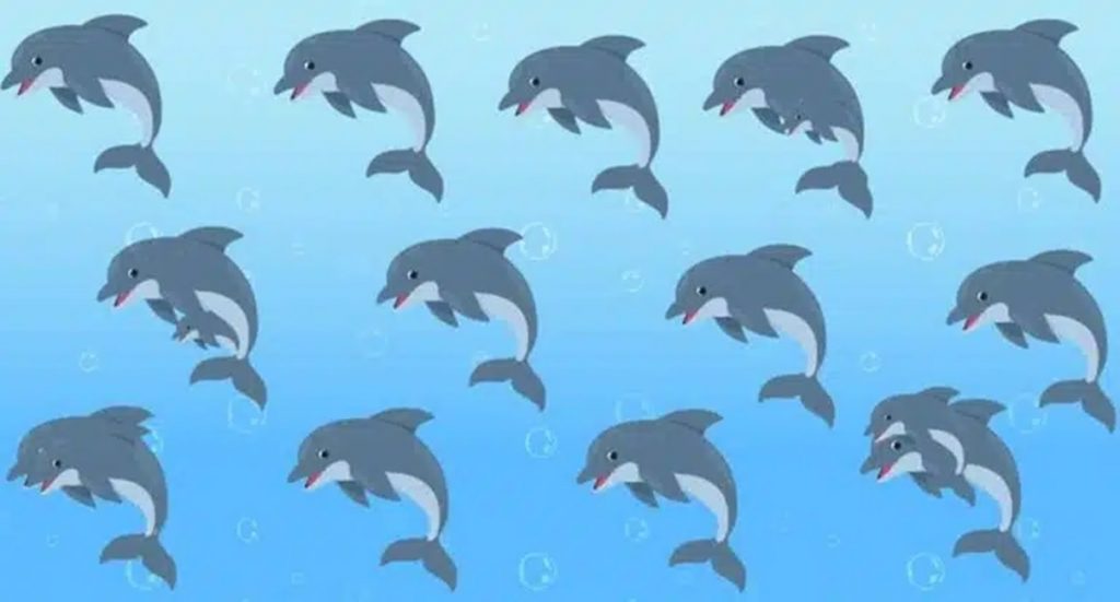 Imagem com golfinhos nadando no fundo do mar, entre bolhas de água. A imagem contém vários golfinhos.