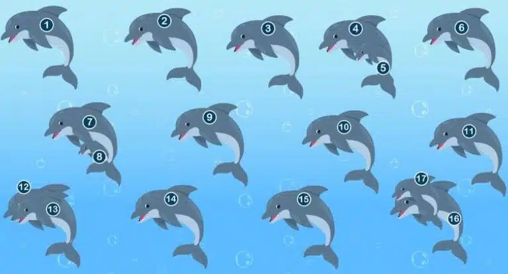 Solução para imagem com golfinhos nadando no fundo do mar, entre bolhas de água. A imagem contém vários golfinhos