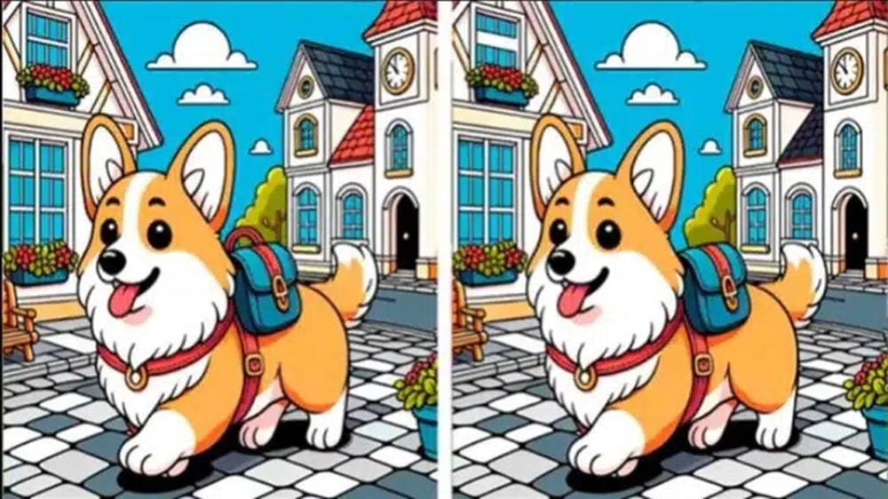 Jogo dos erros com um cachorro corgi e um cenário de vila, buscando as diferenças entre duas imagens