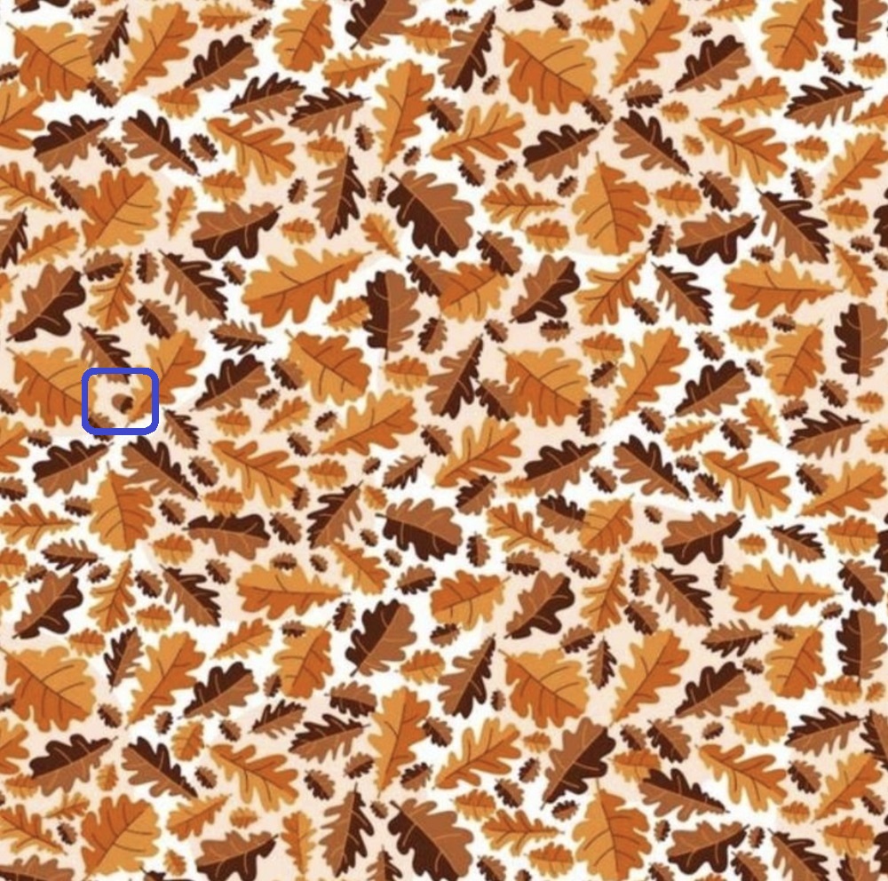 Imagem com várias folhas de carvalho em tons outonais, onde uma noz está camuflada entre elas como parte de um teste visual. Solução!
