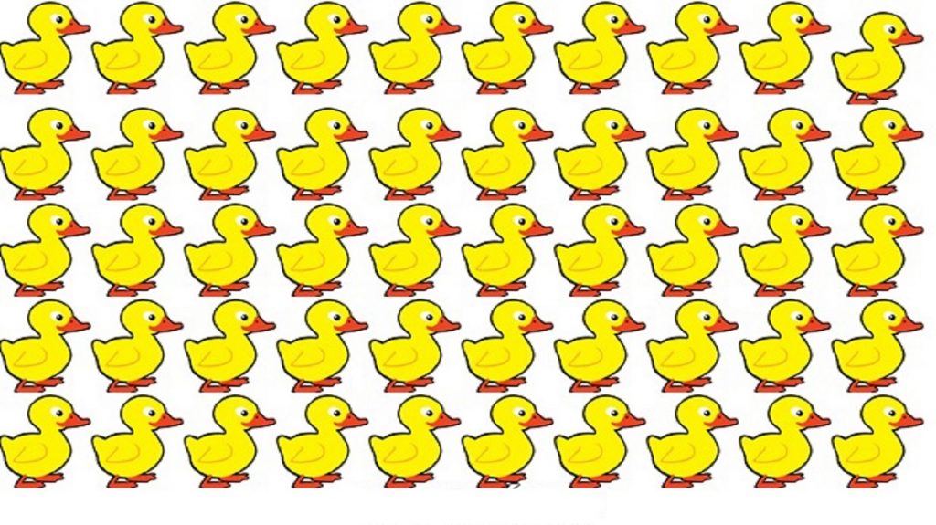 Ilustração com vários patinhos amarelos alinhados, sendo um deles diferente dos demais.