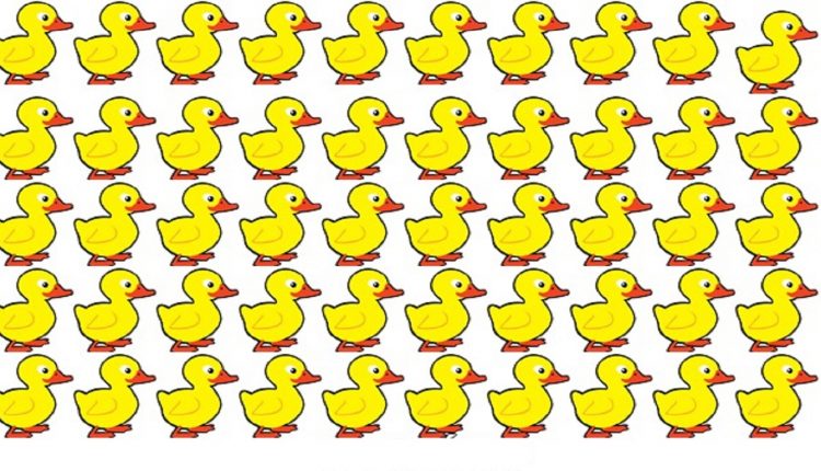 Teste visual ilustração com vários patinhos amarelos alinhados, sendo um deles diferente dos demais.