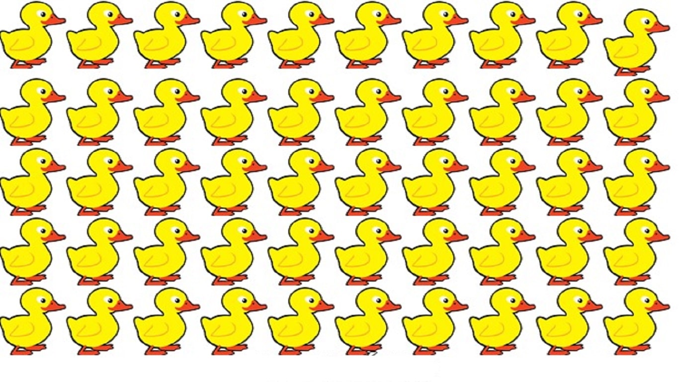 Teste visual ilustração com vários patinhos amarelos alinhados, sendo um deles diferente dos demais.
