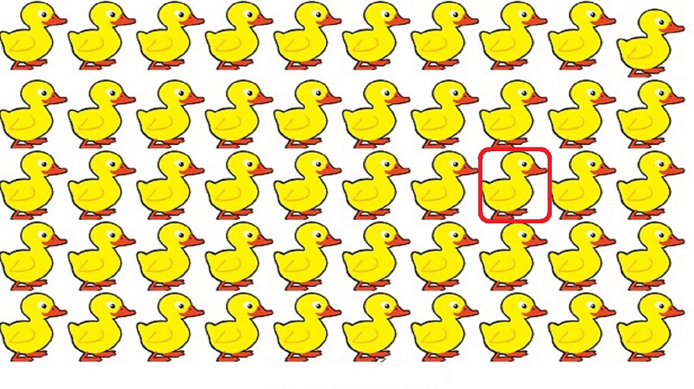 Solução do teste visual ilustração com vários patinhos amarelos alinhados, sendo um deles diferente dos demais.