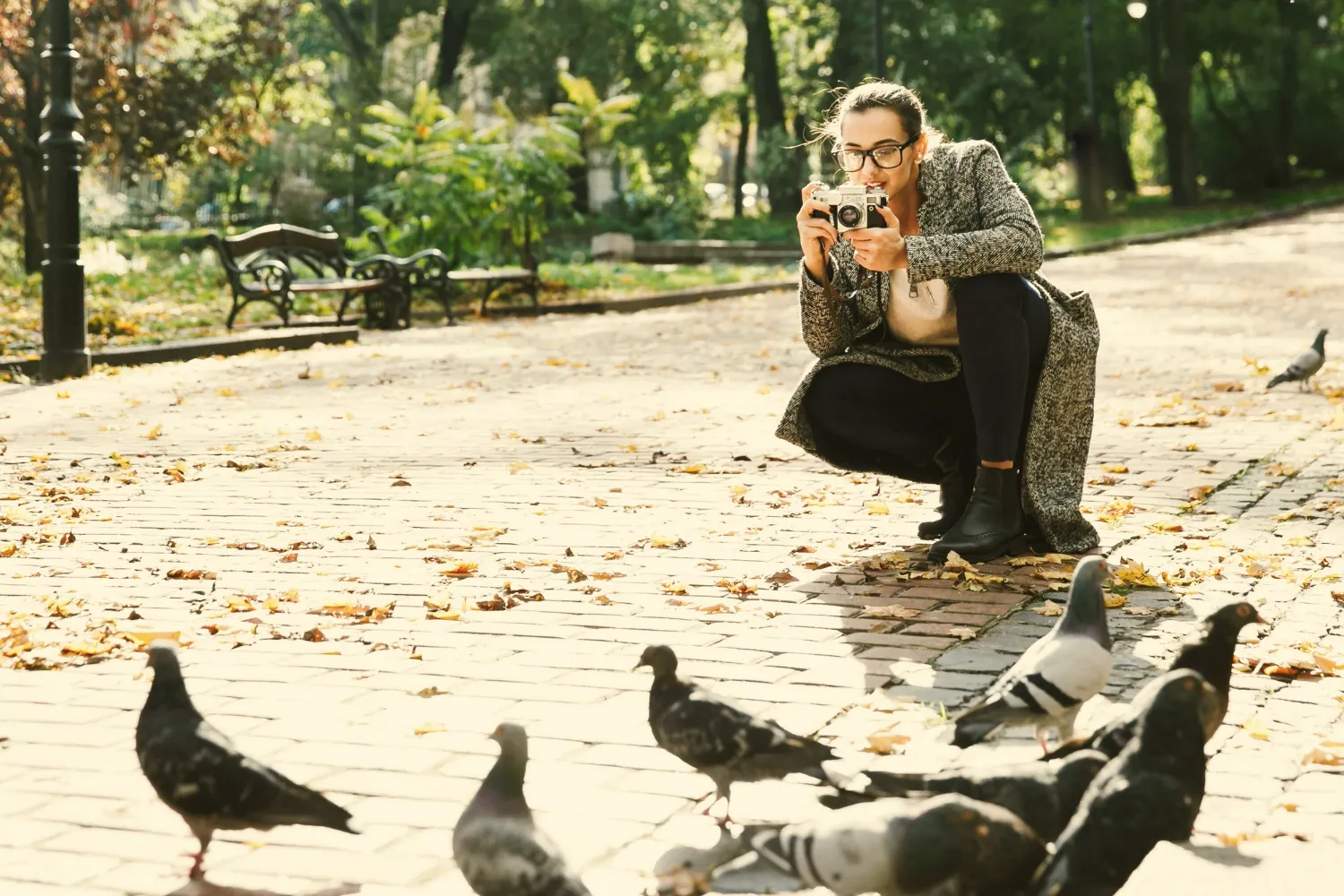 Mulher fotografando pombos em um parque, enquanto as aves estão agrupadas, refletindo seu comportamento social.