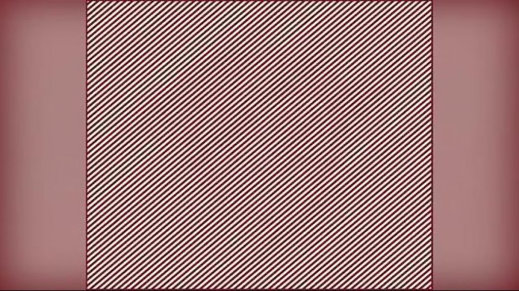 Um desafio de percepção visual: você consegue identificar o animal camuflado nas listras? Imagem com padrão de listras diagonais em tons de vermelho, usada como desafio visual para encontrar uma figura oculta.