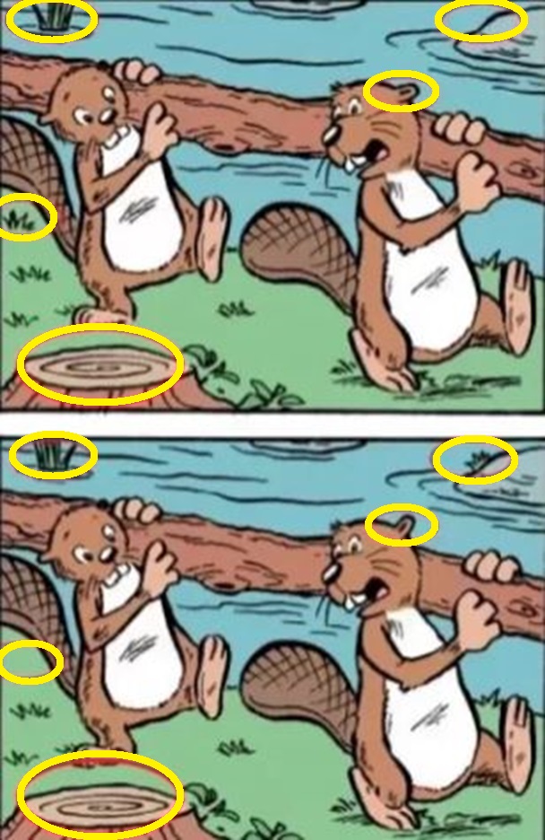 Solução do desafio lógico com desenho de dois castores com tronco de árvore, usado para jogo dos erros