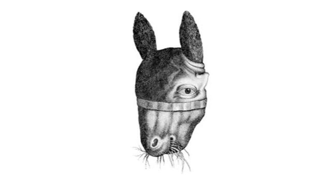 Ilusão de ótica de animal com cabeça dupla, misturando rosto de cavalo e rosto humano