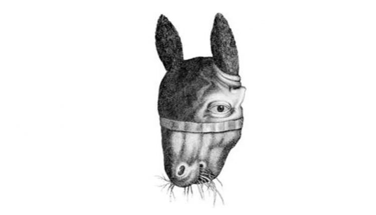 Desafio lógico de uma ilusão de ótica de animal com cabeça dupla, misturando rosto de cavalo e rosto humano