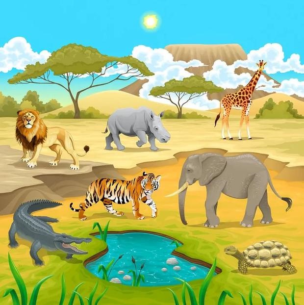 Desenho de animais na savana ao redor de um lago, com leão, tigre, elefante, girafa, rinoceronte, crocodilo e tartaruga.
