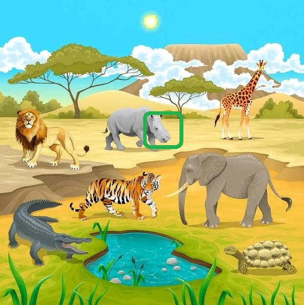 Solução do desafio lógico com desenho de animais na savana ao redor de um lago, com leão, tigre, elefante, girafa, rinoceronte, crocodilo e tartaruga.