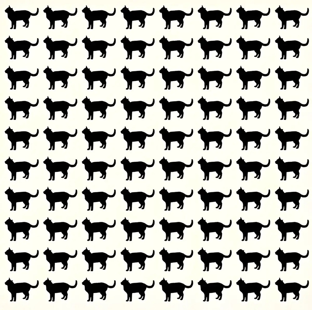 Imagem com várias silhuetas de gatos, onde um gato se destaca por ser diferente do restante.