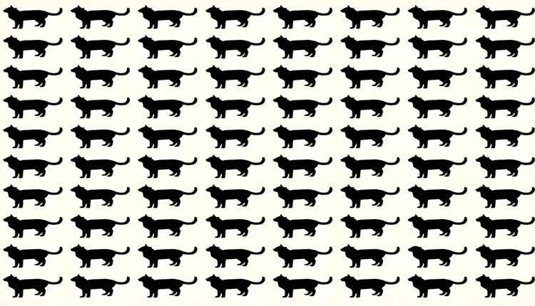 Desafio lógico com várias silhuetas de gatos, onde um gato se destaca por ser diferente do restante.