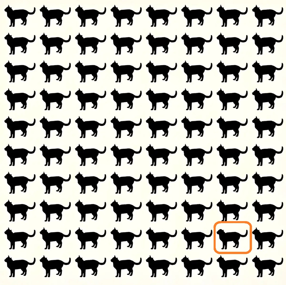 Solução do desafio lógico com várias silhuetas de gatos, onde um gato se destaca por ser diferente do restante.