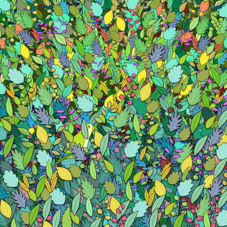 Folhagem colorida com um pássaro camuflado entre as plantas