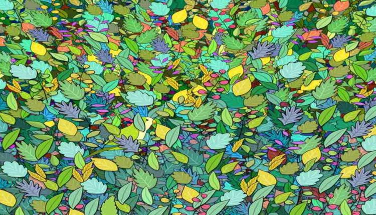 Desafio lógico com uma folhagem colorida com um pássaro camuflado entre as plantas
