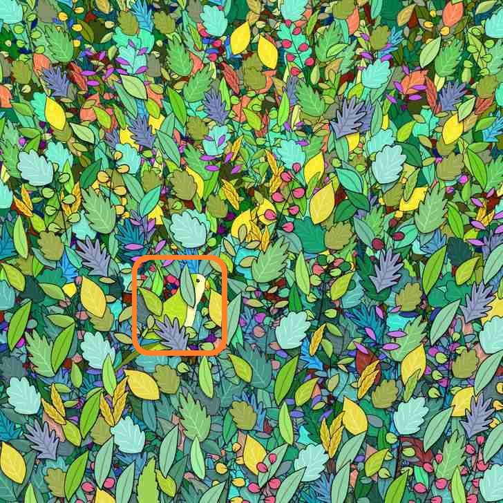 Solução do desafio lógico com uma folhagem colorida com um pássaro camuflado entre as plantas