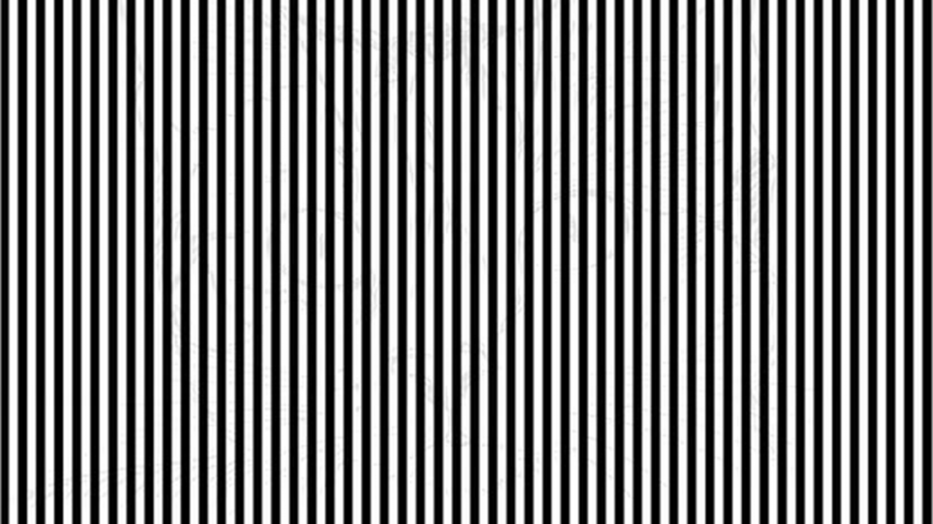 Imagem com listras verticais pretas e brancas que esconde um animal oculto por trás do padrão.