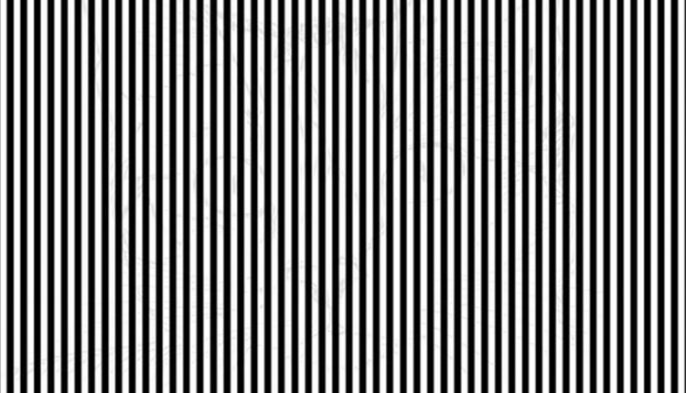 Desafio visual com listras verticais pretas e brancas que esconde um animal oculto por trás do padrão.