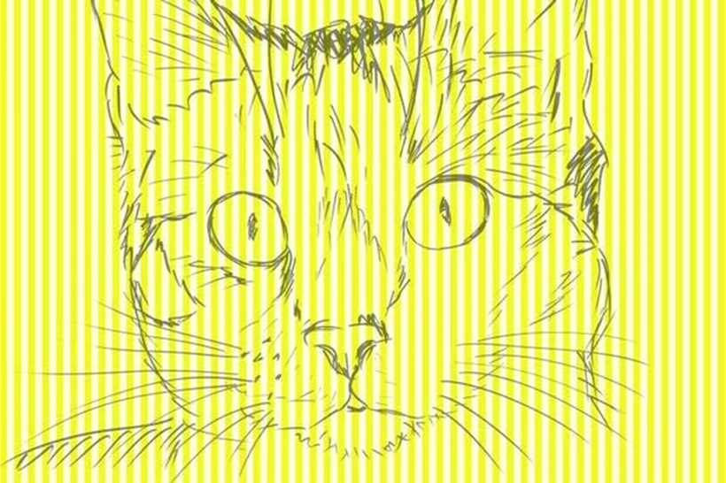 Solução do desafio visual com listras verticais pretas e brancas que esconde um animal oculto por trás do padrão.