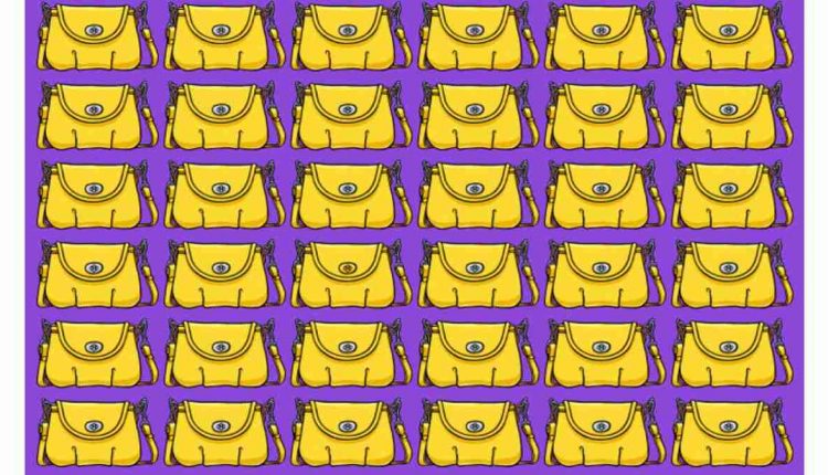 Desafio visual - Encontre a bolsa diferente na imagem. Fonte: Jagran Josh.