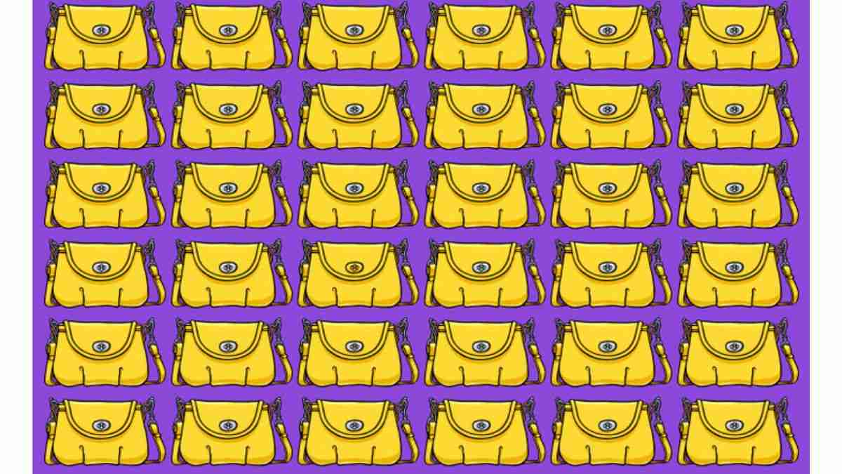 Desafio visual - Encontre a bolsa diferente na imagem. Fonte: Jagran Josh.