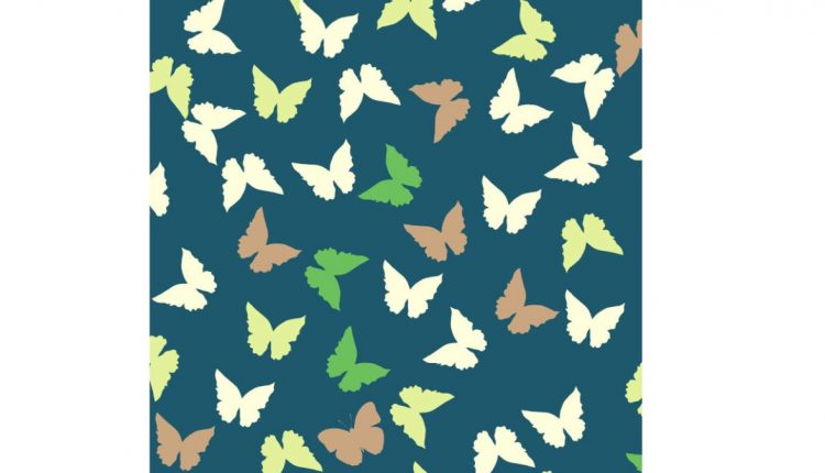 Encontre a borboleta diferente na imagem. Fonte: Jagran Josh.
