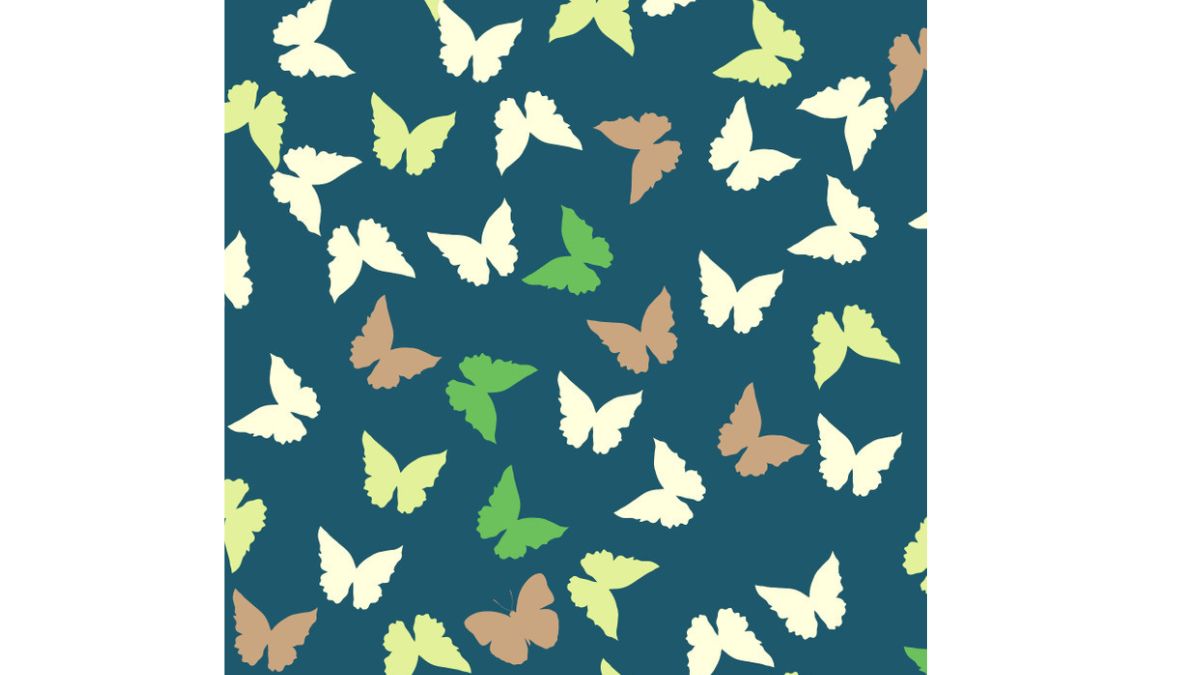 xr:d:DAFeRSCbhi:,j:,t: Encontre a borboleta diferente na imagem. Fonte: Jagran Josh.