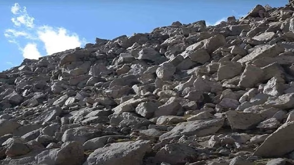 Cabra camuflada entre pedras em uma encosta rochosa