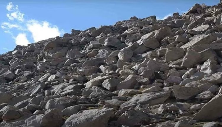Desafio visual com cabra camuflada entre pedras em uma encosta rochosa