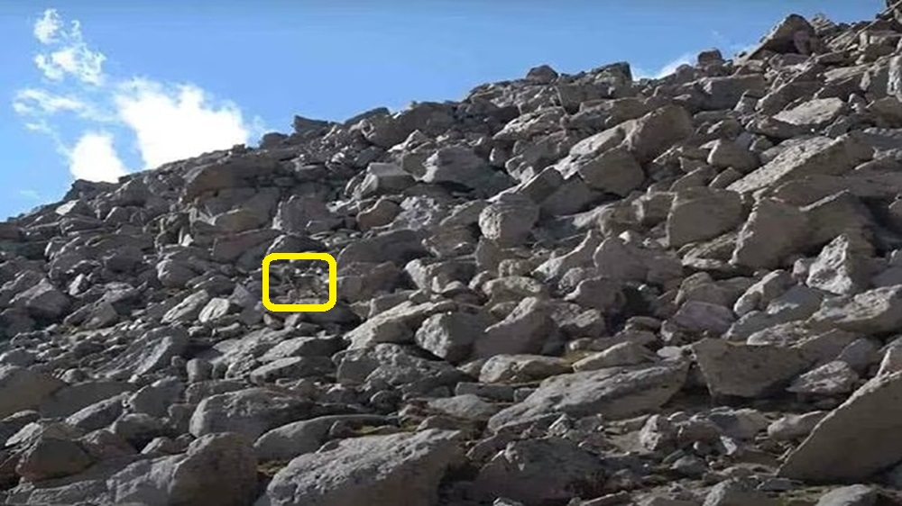 Solução do desafio visual com cabra camuflada entre pedras em uma encosta rochosa