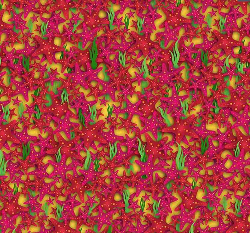 Desafio visual colorido com várias estrelas-do-mar em tons de vermelho e rosa, intercaladas com algas verdes sobre fundo amarelo.
