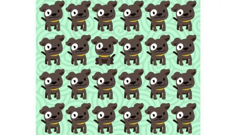Desafio visual -Encontre o cachorro diferente na imagem. Fonte: Jagran Josh.