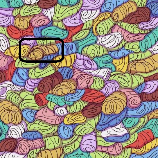 Solução do desafio visual com ilustração de várias toalhas coloridas com um cachorro escondido entre elas