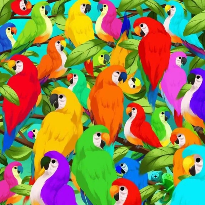 Desafio visual com papagaios coloridos em um ambiente tropical, escondendo um camaleão entre as folhas.