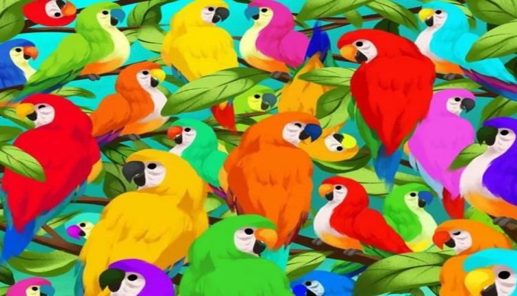 Desafio visual com papagaios coloridos em um ambiente tropical, escondendo um camaleão entre as folhas.