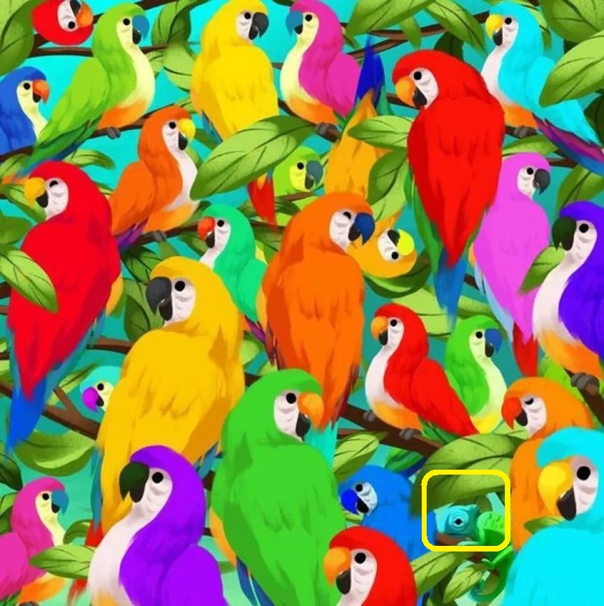 Solução do desafio visual com papagaios coloridos em um ambiente tropical, escondendo um camaleão entre as folhas.
