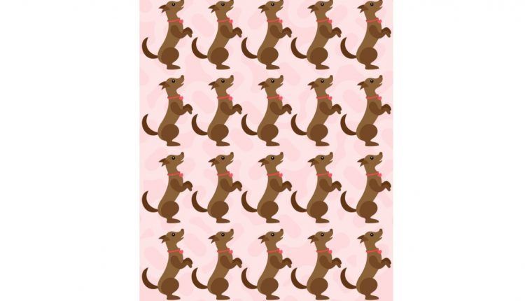 Desafio visual: encontre o cão diferente na imagem. Fonte: Jagran Josh.