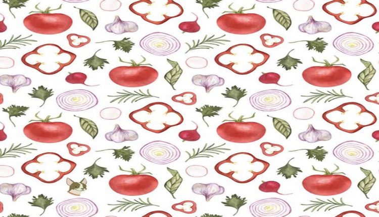 Desafio visual com uma ilustração de legumes e temperos desenhados em aquarela com um pequeno cão escondido entre os elementos.