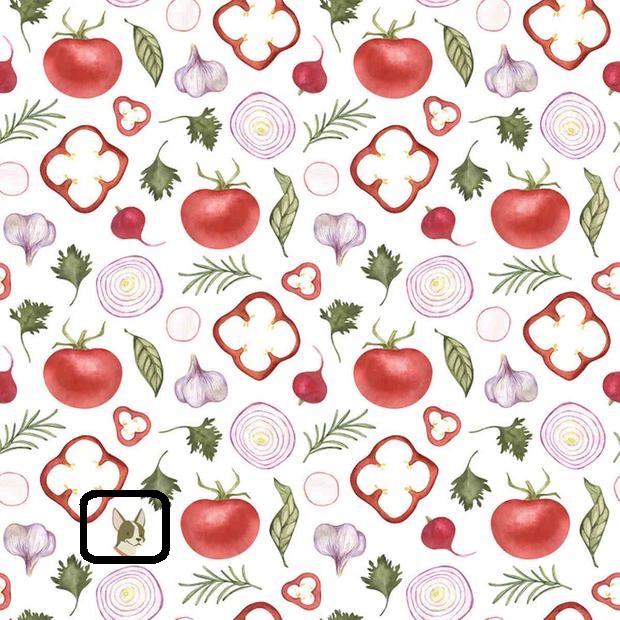 Solução do desafio visual com uma ilustração de legumes e temperos desenhados em aquarela com um pequeno cão escondido entre os elementos.