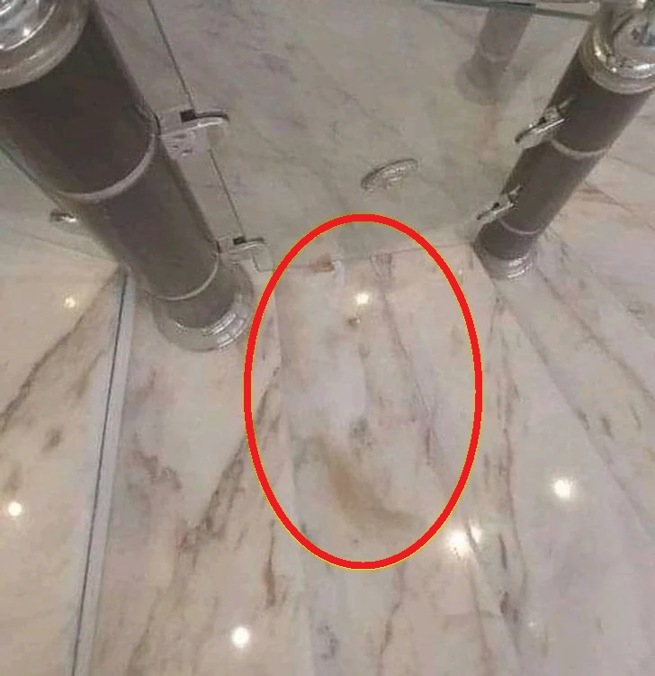 Solução do desafio visual com uma imagem de piso e paredes de mármore com reflexos e um gato camuflado no canto, quase imperceptível.