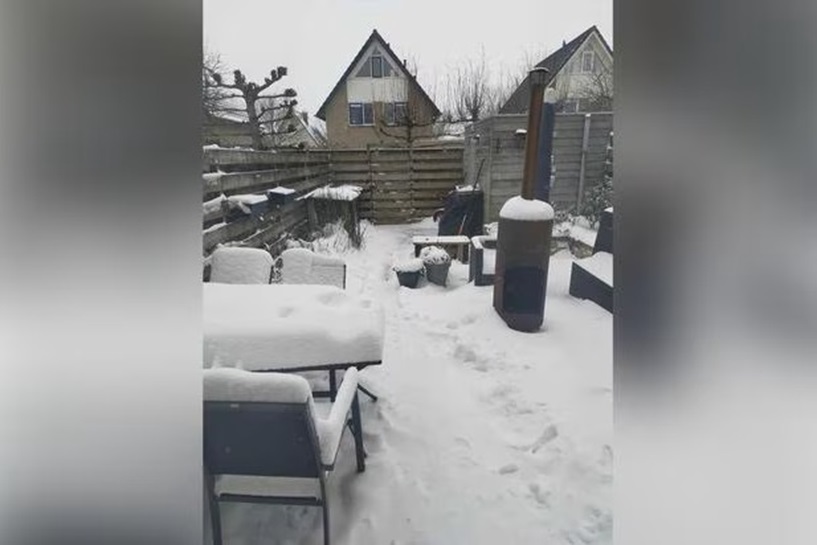 Imagem de um jardim coberto de neve com móveis e uma lareira ao fundo. Um pequeno gatinho está escondido na neve.